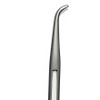 Ixion Lingual Weingart Plier